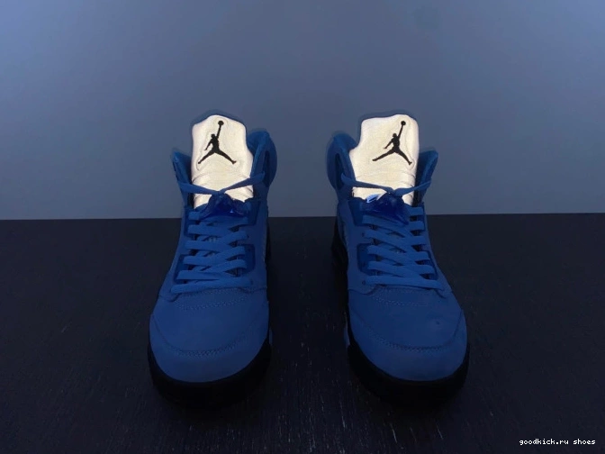 UNC Air 5 DV1310-401 Jordan 0818